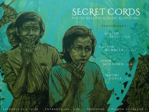 Secret Cords poster