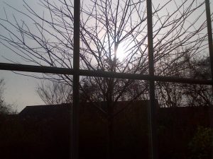 img-20161206-00509