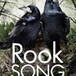 The cover of Rook Song, Book Two of the Gaia Chronicles.