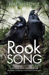The cover of Rook Song, Book Two of the Gaia Chronicles. 