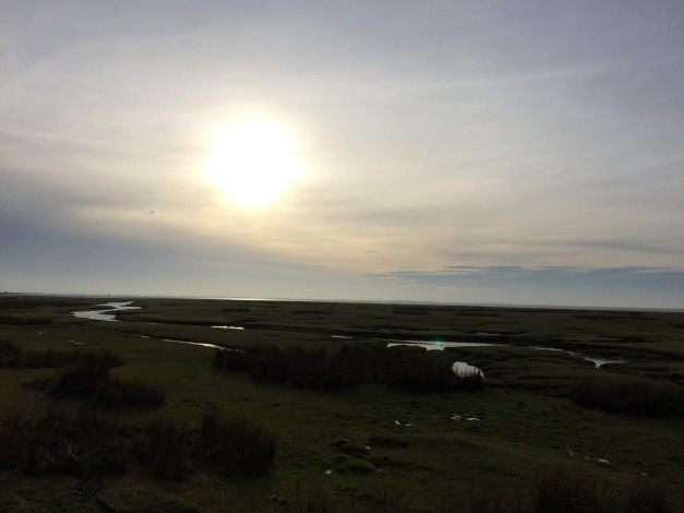 The sub shining through clouds over a wetlands marsh, Sunderland Point, Lancashire