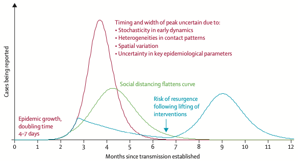 Graph of covid 19 outbreak peaks